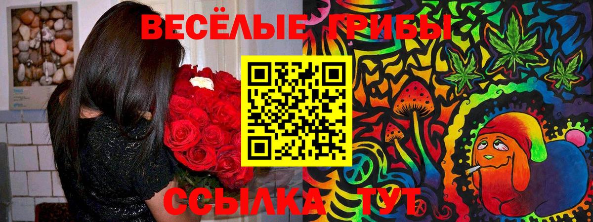 Галлюциногенные грибы мухоморы  Вход с VPN  Артём 